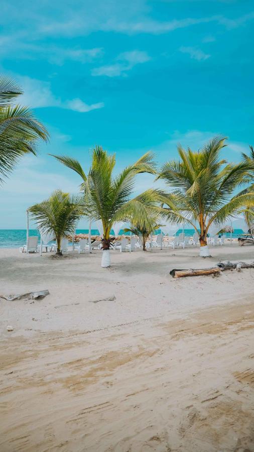 Makary Beach Tolu By Bernalo Hotels Exterior foto